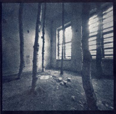 Innenraum 1